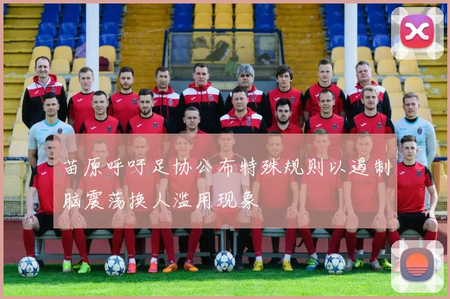 苗原呼吁足协公布特殊规则以遏制脑震荡换人滥用现象