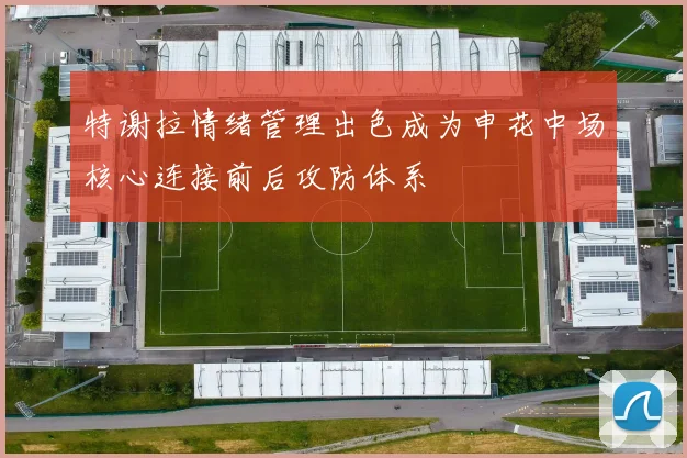 特谢拉情绪管理出色成为申花中场核心连接前后攻防体系